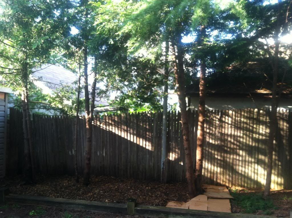  photo IMG_0323_zpsd30f0c63.jpg